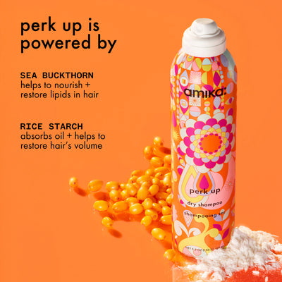 Amika Perk Up Dry Shampoo