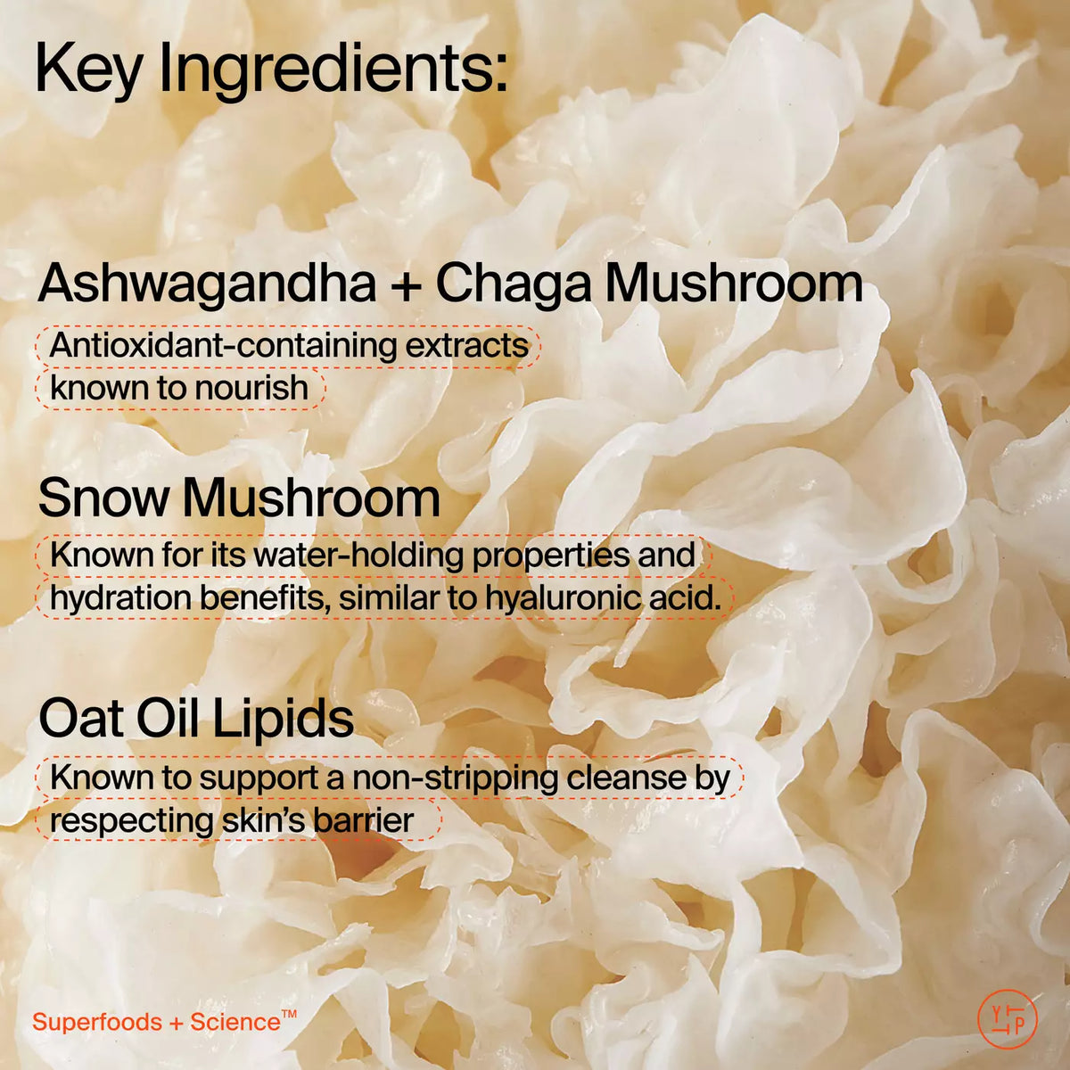 Youth To The People Supershroom Calm Cleanser