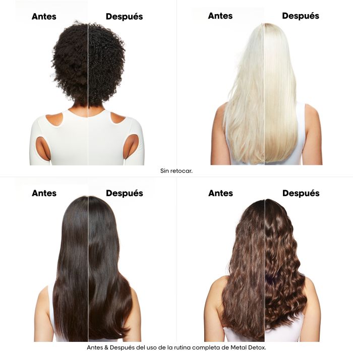 L'Oréal Professionnel Serie Expert Metal Detox Champú Anti-Metales Champús de peluquería