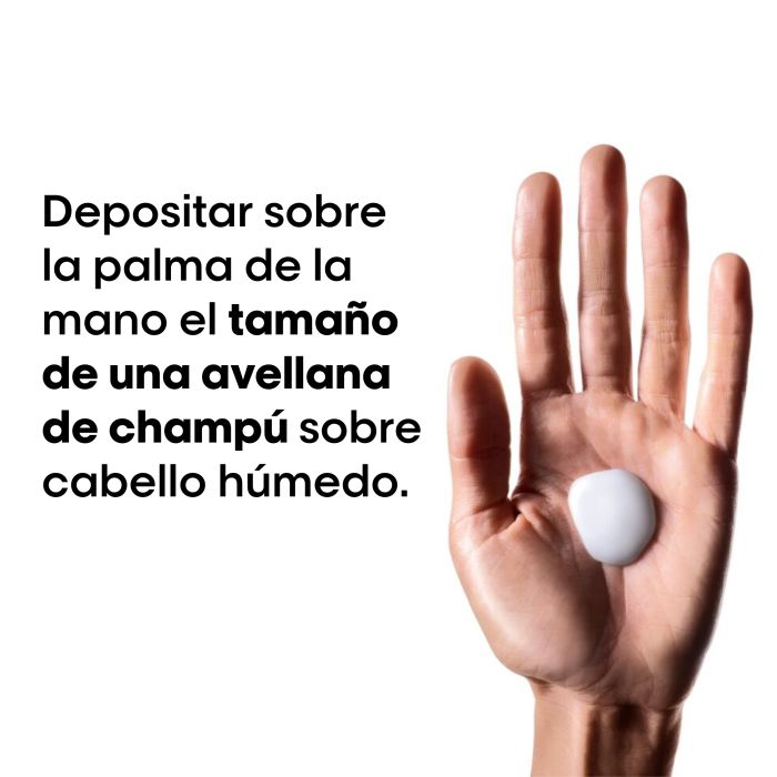 L'Oréal Professionnel Serie Expert Metal Detox Champú Anti-Metales Champús de peluquería