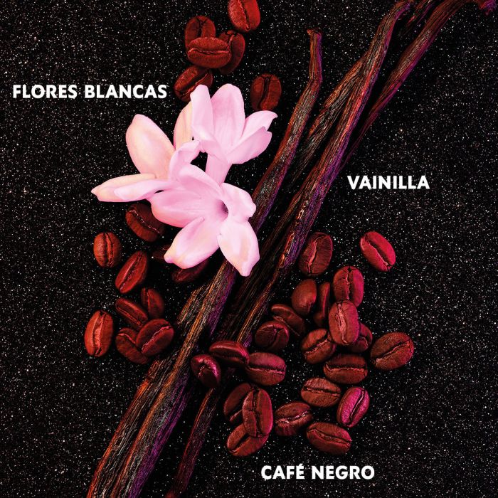Yves Saint Laurent Opio negro