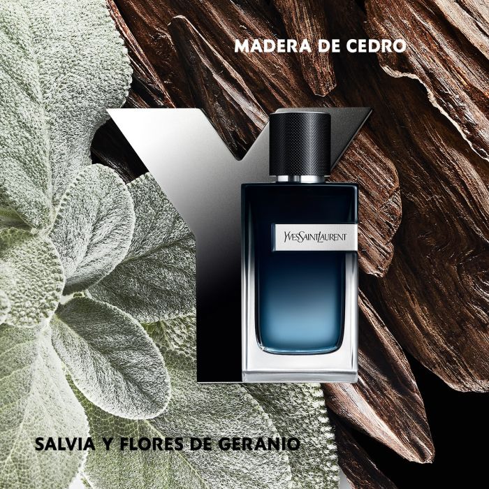 Yves Saint Laurent Y Eau de Parfum Hombre