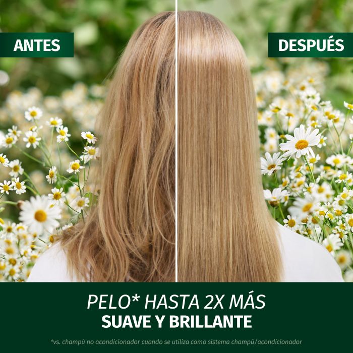 Herbal Essences Champú Brillo y Revitalizante con Camomila Champús