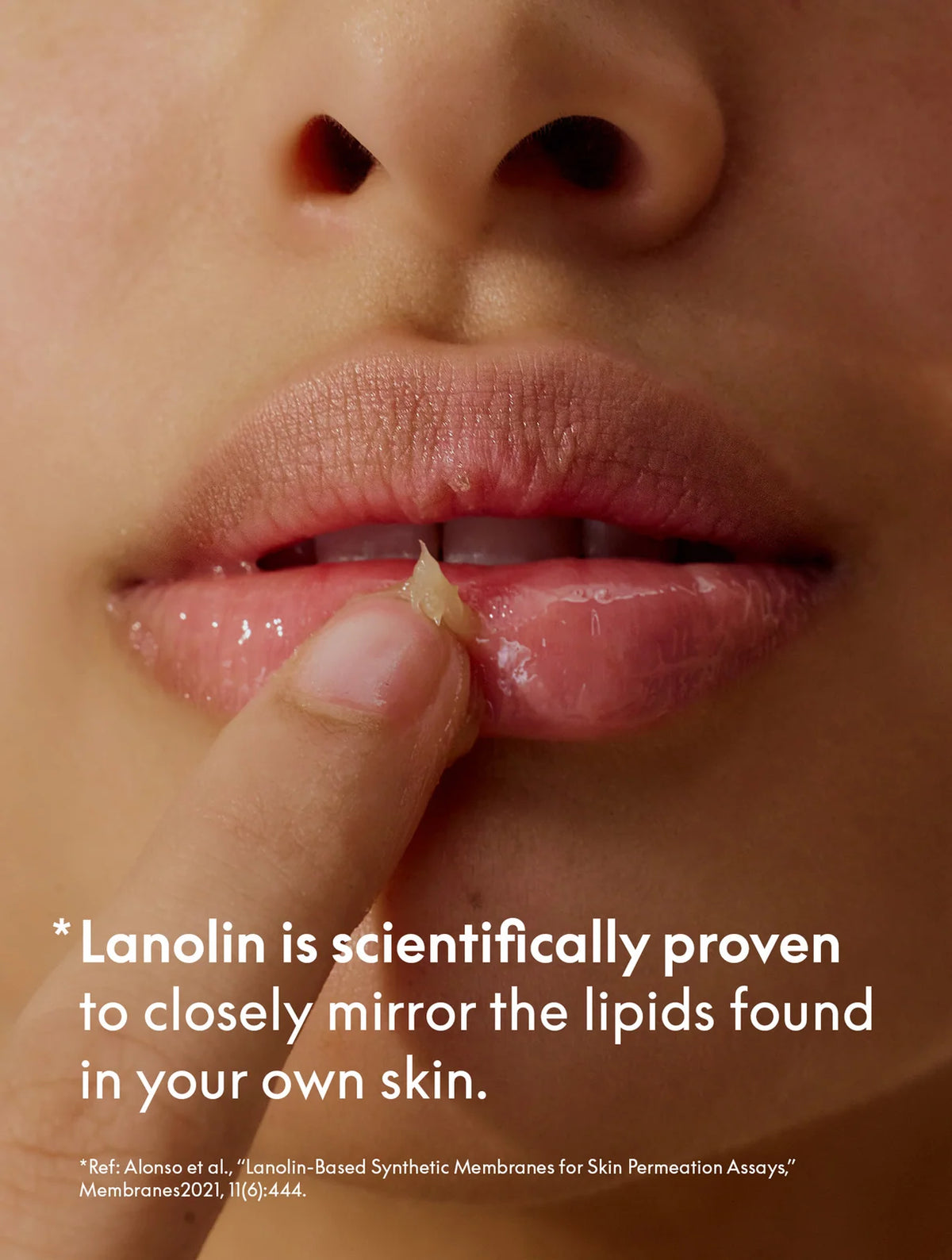 Lanolips 101 Ointment Multi-Balm