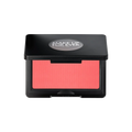 B310 Playful Coral