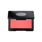 MAKE UP FOR EVER Artist Blush