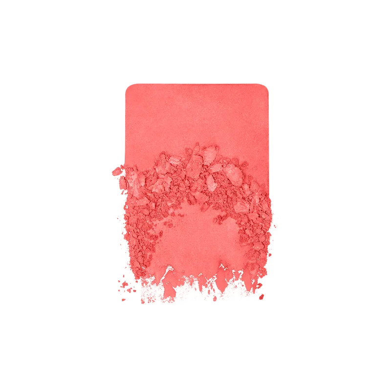 MAKE UP FOR EVER Artist Blush