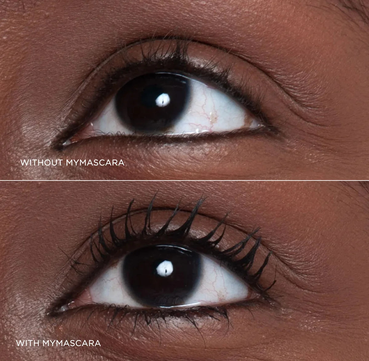 Sculpted By Aimee MyMascara