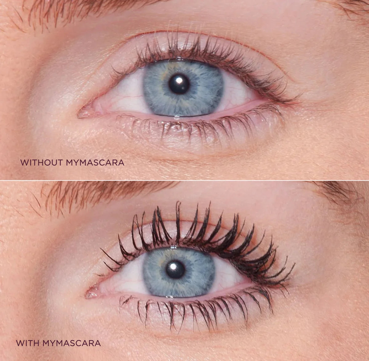 Sculpted By Aimee MyMascara