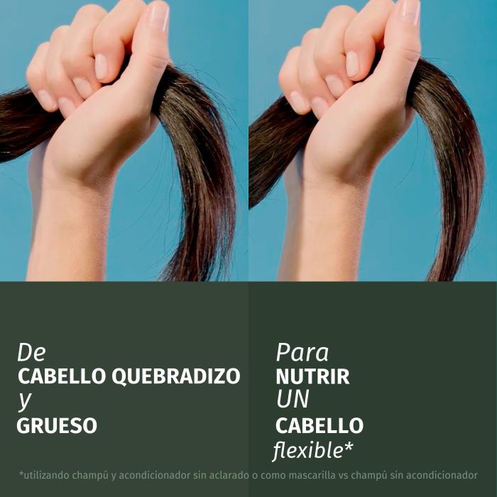 Herbal Essences Champú Reparador Aceite de Argán Champús