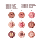 Charlotte Tilbury Cheek To Chic — official comparison of all nine labelled shades