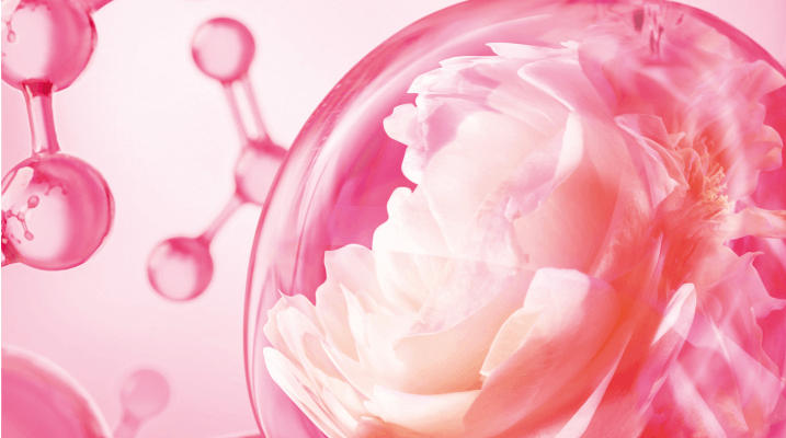 Charlotte Tilbury Love Frequency — fragrance notes visual