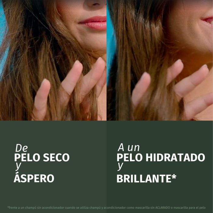 Herbal Essences Champú Fortificante Aloe Champús