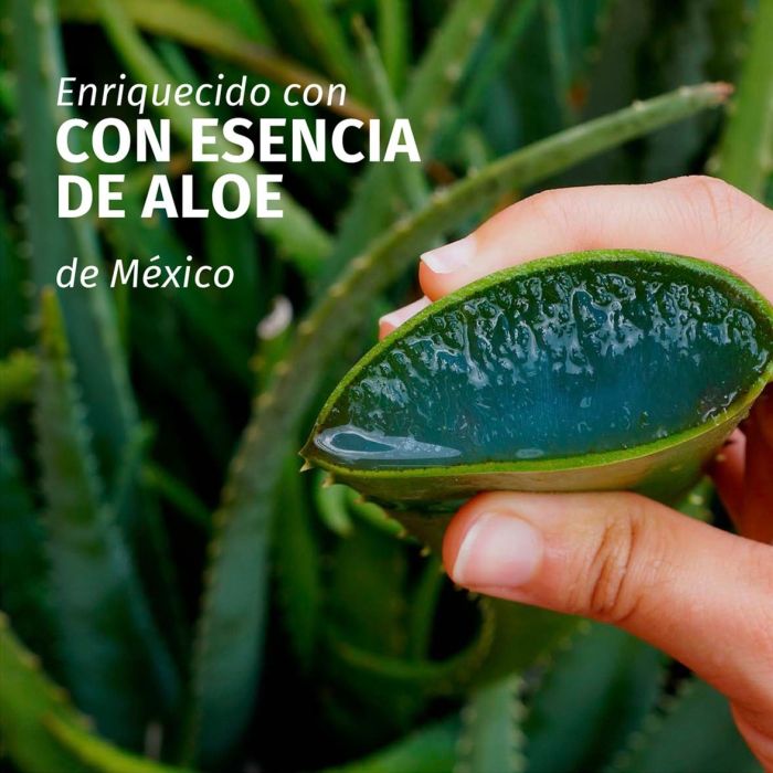 Herbal Essences Champú Fortificante Aloe Champús