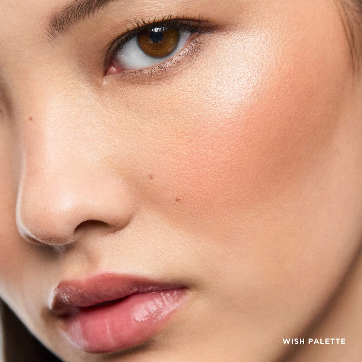 Hourglass Ambient Lighting Edit Unlocked Palette in Wish Image 8