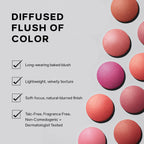 Saie SuperSuede Baked Powder Blush - shared product details