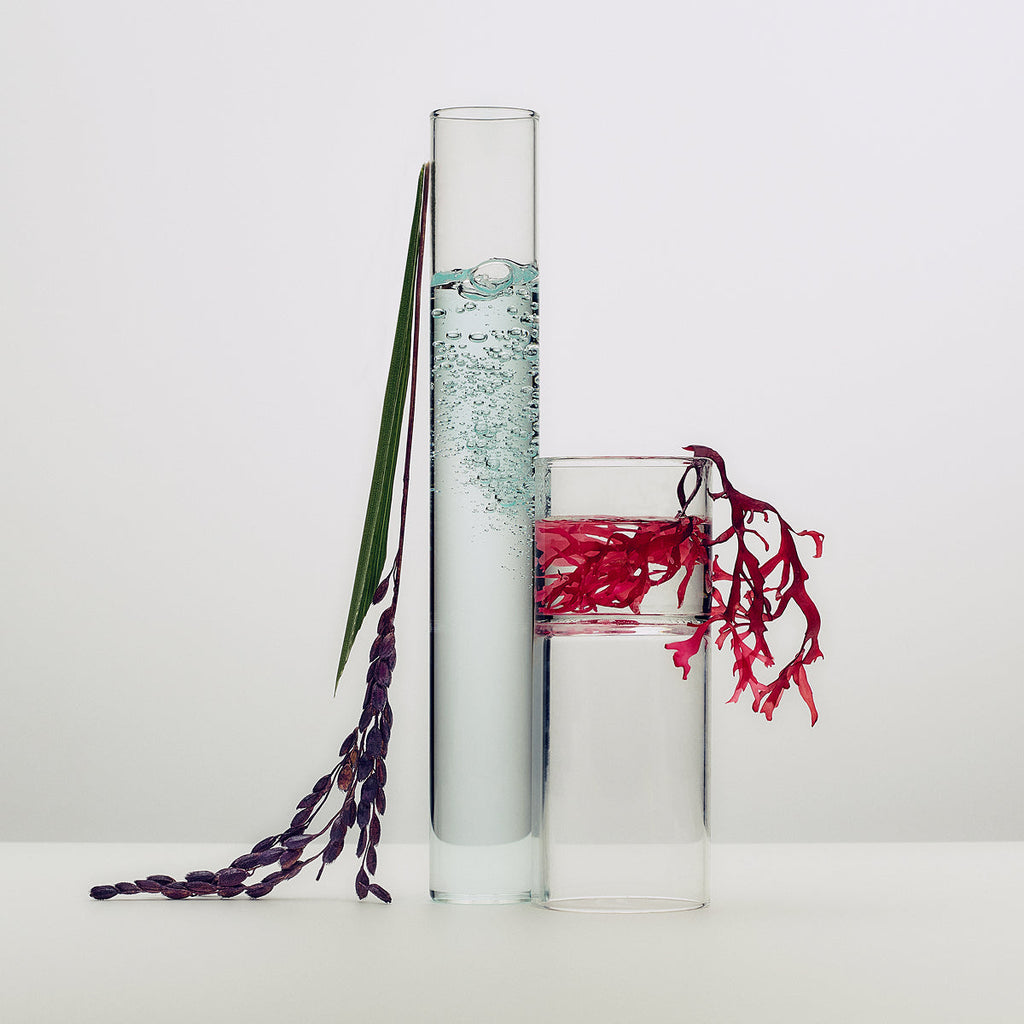 Tatcha The Dewy Skin Cream - texture, ingredients and application