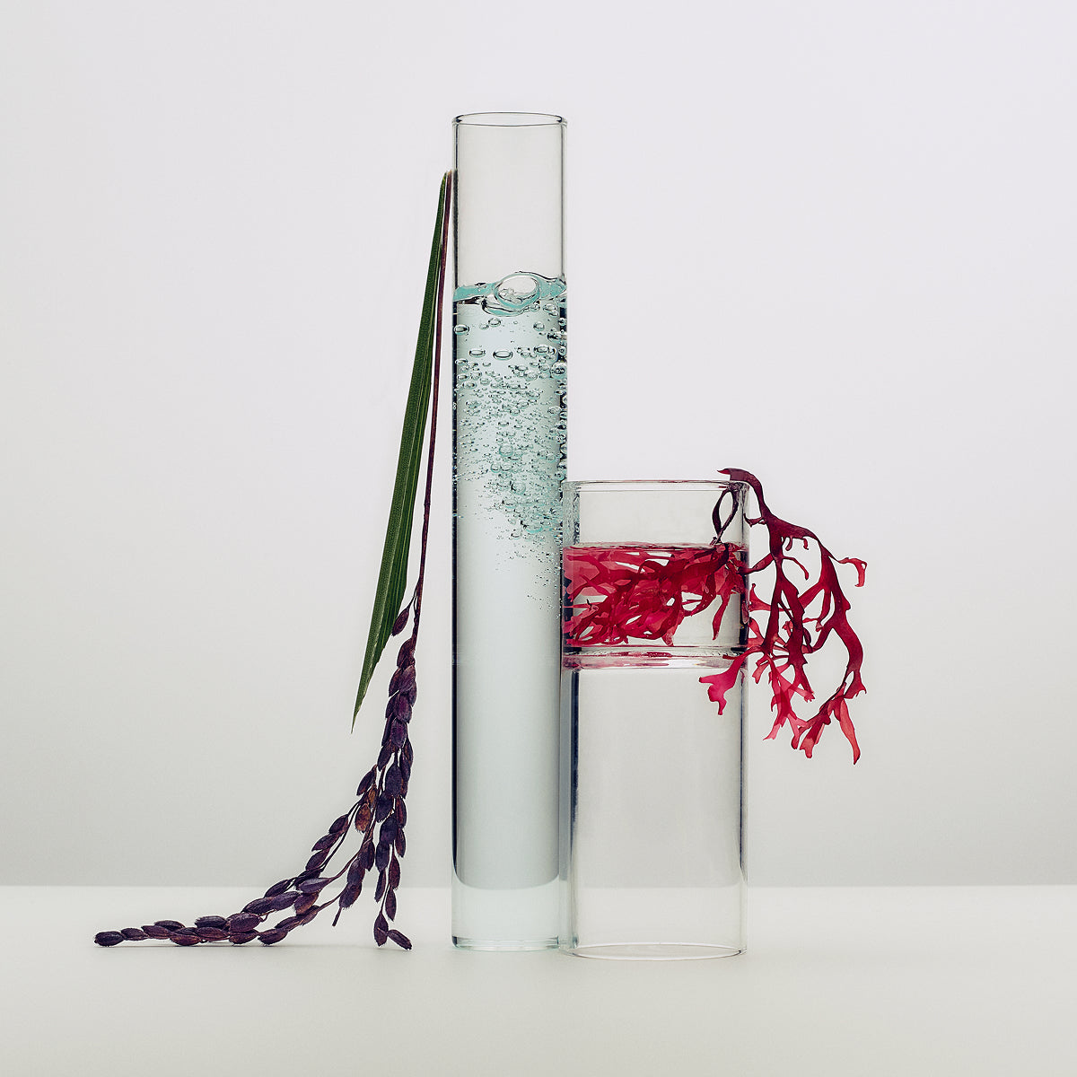 Tatcha The Dewy Skin Cream - texture, ingredients and application