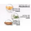 L'Oréal París Acondicionador Glycolic Gloss Acondicionadores