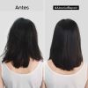 L'Oréal Professionnel Serie Expert Absolut Repair Champú Champús de peluquería