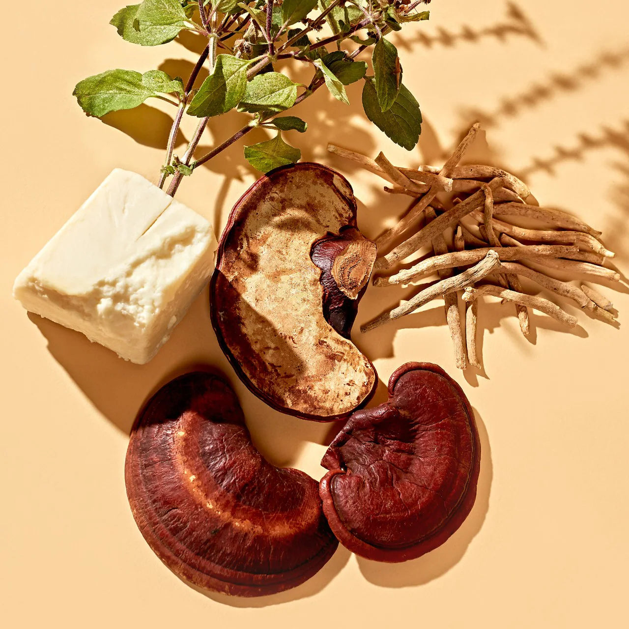 Crema hidratante profunda adaptógena con ashwagandha y hongo reishi