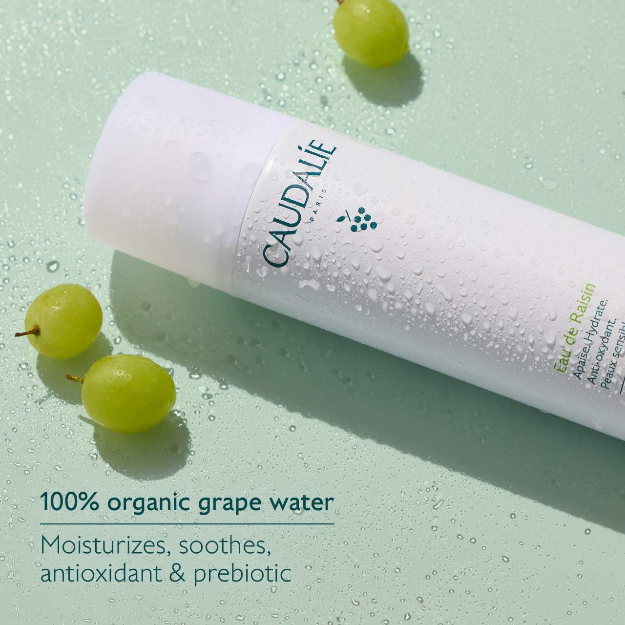 Mini Grape Water Moisturizing Face Mist