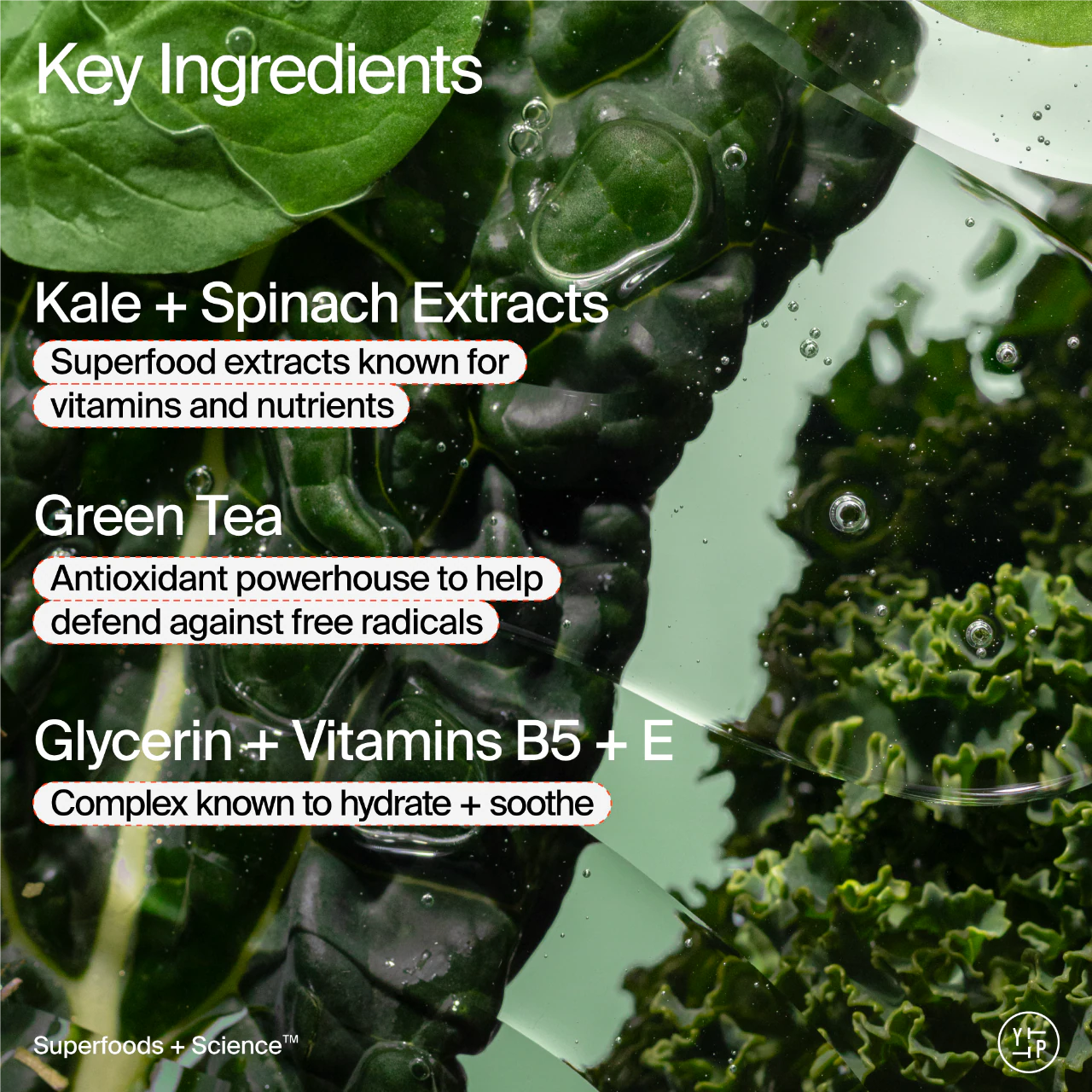 Superfood Gentle Antioxidant Refillable Cleanser