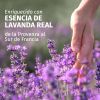 Herbal Essences Acondicionador Controla el Frizz con Aroma a Lavanda Acondicionadores sin aclarado